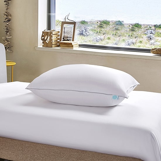 Martha Stewart 600 Fill Power Down Pillow