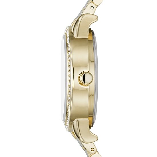 Ladies Womens Gold Tone 5-pc. Watch Boxed Set Fmdjset064