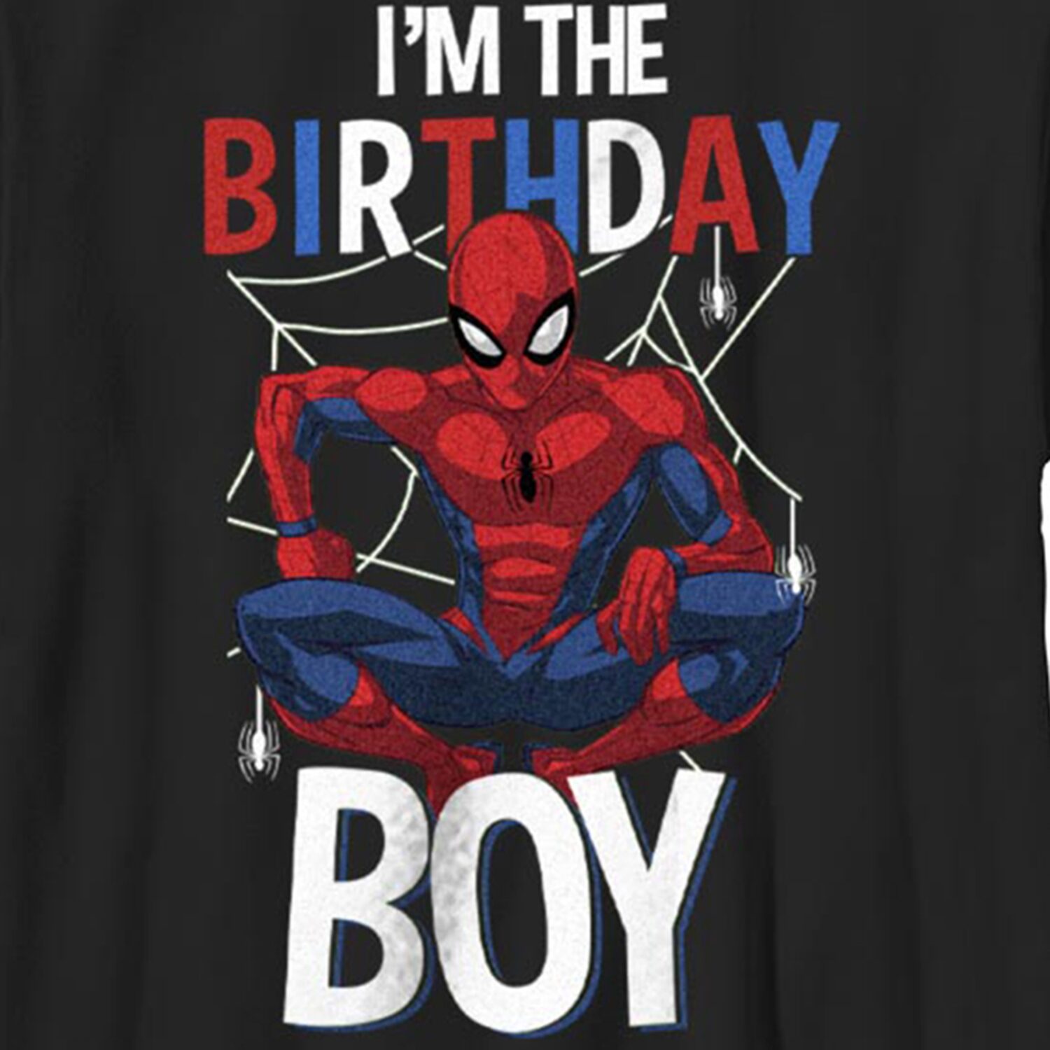 Little & Big Kid Boys Crew Neck Short Sleeve Regular Fit Spiderman Graphic T-Shirt