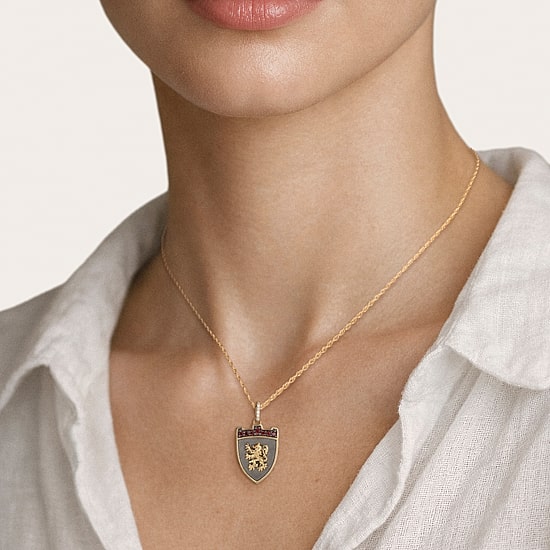Harry Potter (F / Si2) Womens Diamond Accent Genuine Red Garnet 14K Gold Over Silver 16 Inch Pendant Necklace