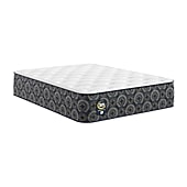 The Serta Perfect Sleeper Mondale 13.5" Plush Tight Top - Mattress Only
