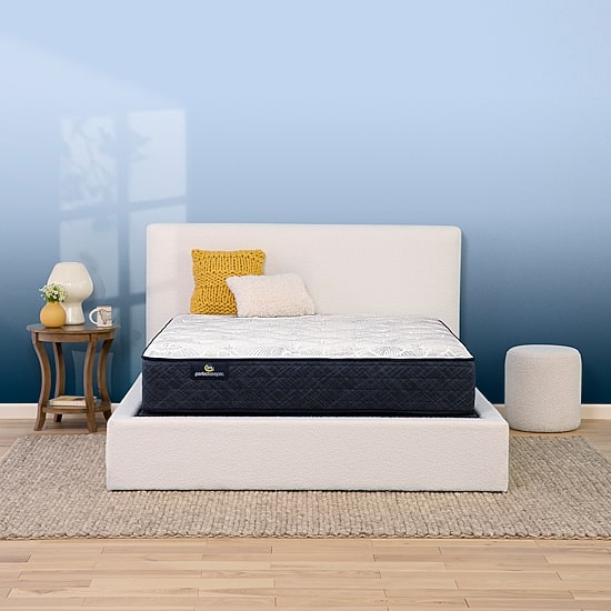 Serta Perfect Sleeper Adoring Night 10.5" Plush Tight Top - Mattress Only