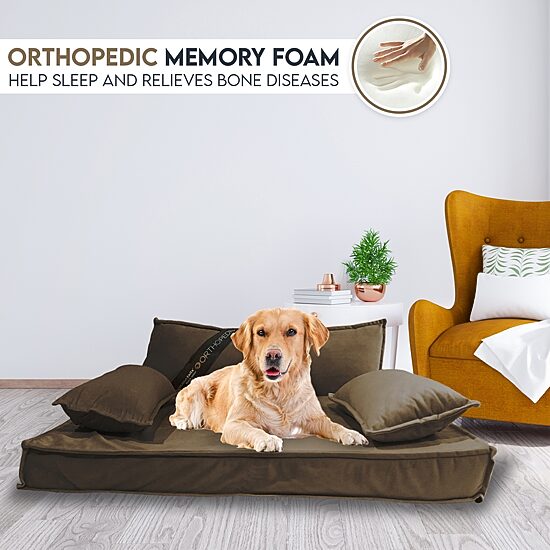 Precious Tails 35" Mocha Orthopedic Pet Bed