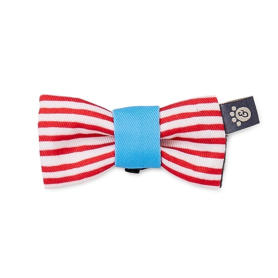 Paw & Tail Striped Dog Bowtie & Bandana Set