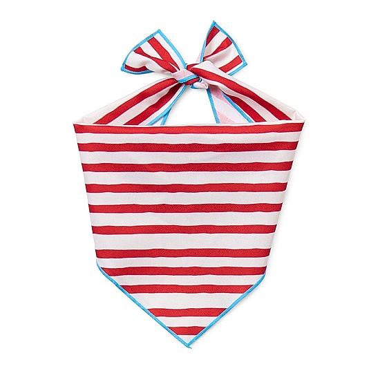 Paw & Tail Striped Dog Bowtie & Bandana Set