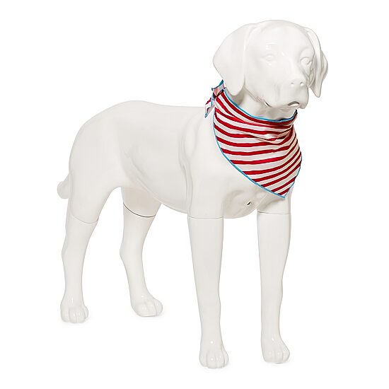 Paw & Tail Striped Dog Bowtie & Bandana Set