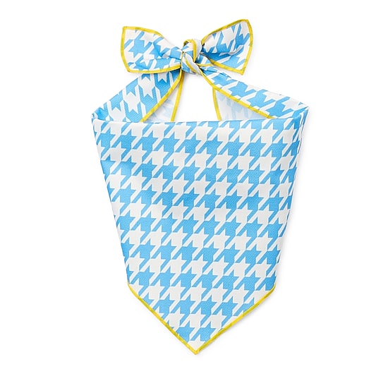 Paw & Tail Dog Bowtie & Bandana Set