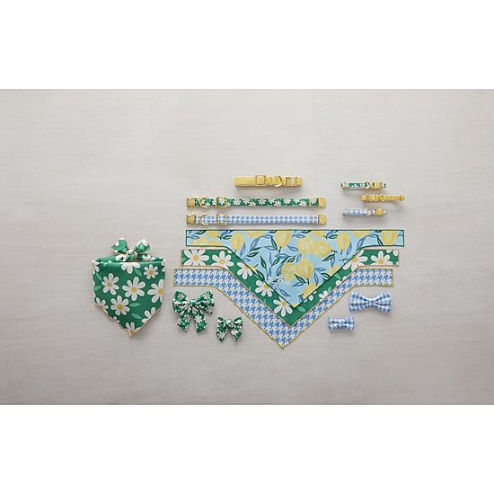 Paw & Tail Dog Bowtie & Bandana Set