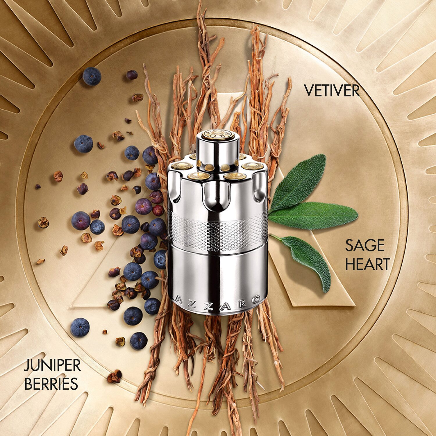 Azzaro Wanted Eau De Parfum Cologne
