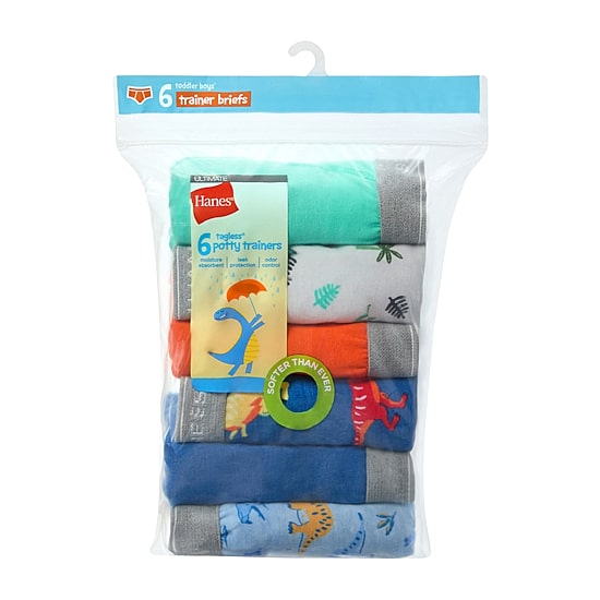 Hanes Potty Trainer Toddler Boys 6 Pack Briefs Tublbr