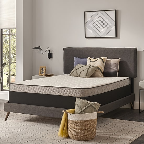 Sealy Masterbrand Essentials Handfield 5.5" Medium Tight Top - Mattress Only