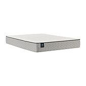Sealy Masterbrand Essentials MacDonnell 8.5" Firm Tight Top - Mattress Only