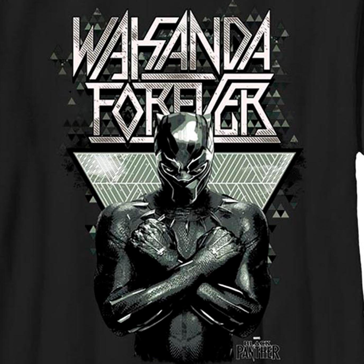 Little & Big Kid Boys Crew Neck Short Sleeve Slim Fit Black Panther Marvel Graphic T-Shirt