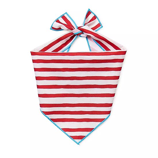 Paw & Tail Striped Dog Bandana & Bow Set