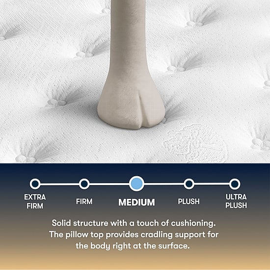The Serta Perfect Sleeper Mondale 14" Medium Pillow Top - Mattress + Box Spring
