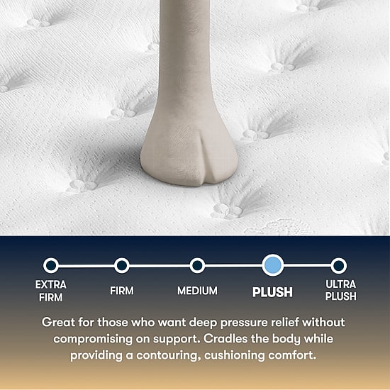 The Serta Perfect Sleeper Mondale 13.5" Plush Tight Top - Mattress + Box Spring