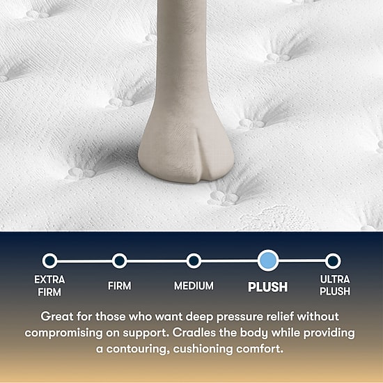 The Serta Perfect Sleeper Beechdale 12.5" Plush Tight Top - Mattress + Adjustable Base