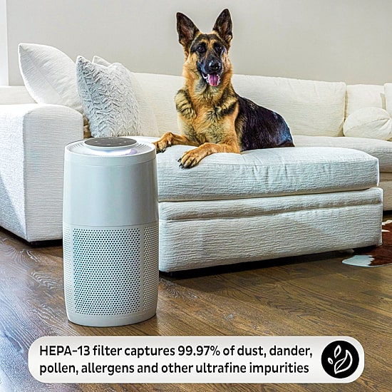 Instant® AP300 Home Purification System