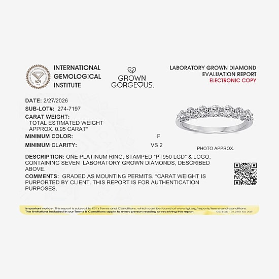 Grown Gorgeous (F,Vs2) Womens 1 CT. T.W. Lab Grown White Diamond 14K Gold or Platinum Wedding Band