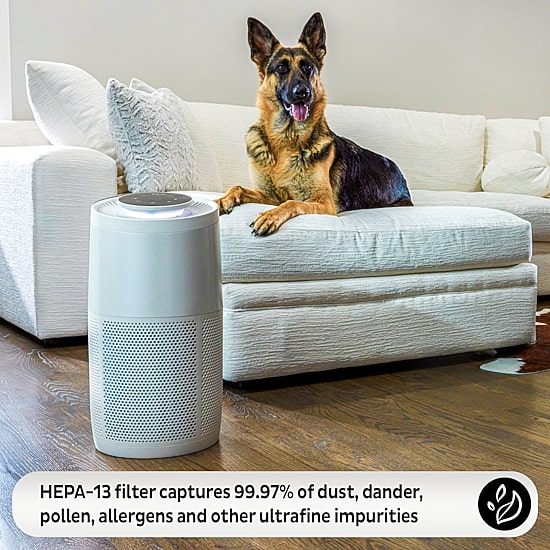Instant® AP300 Home Purification System