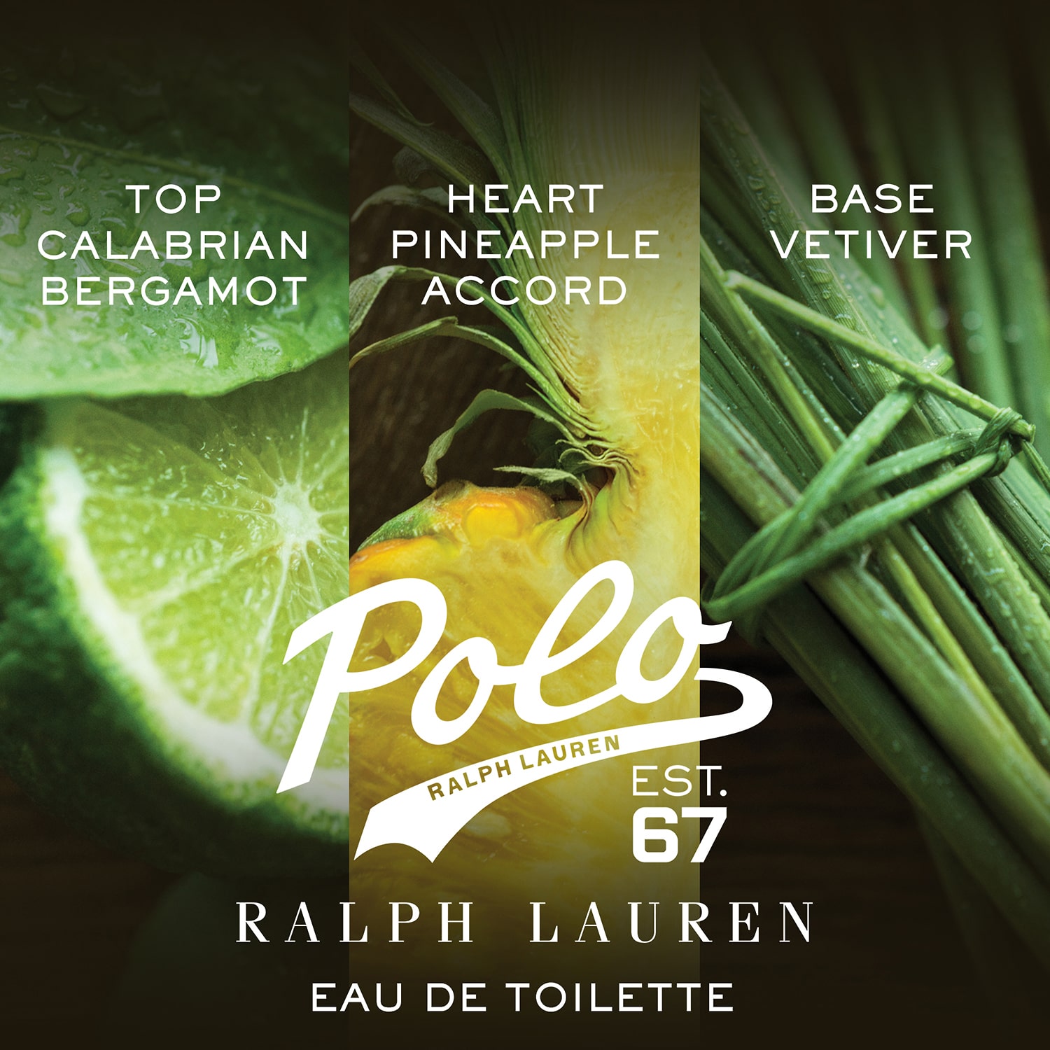 Ralph Lauren Polo Est. 67 Cologne