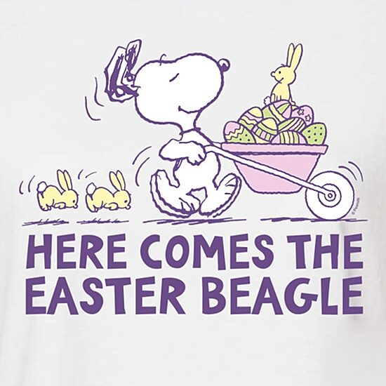 Easter Beagle Cropped Womens Juniors Crew Neck Short Sleeve Boxy Fit Peanuts Snoopy Graphic T-Shirt
