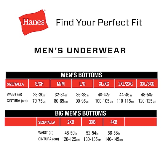 Hanes® Ultimate Men’s Underwear 4-Pack ComfortBlend® Briefs Underwear Ubbfc4