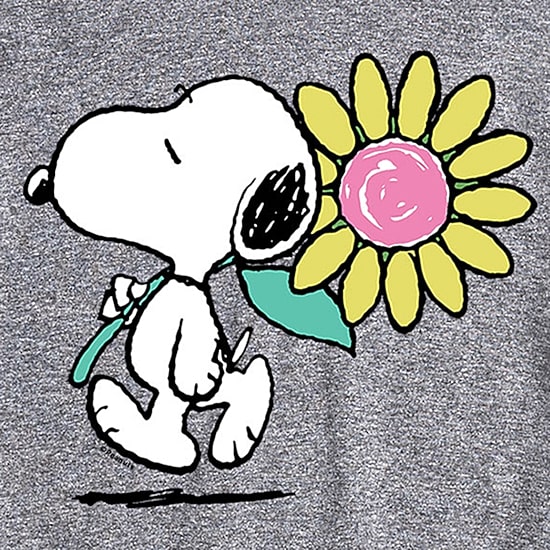 Mens Short Sleeve Peanuts Graphic T-Shirt