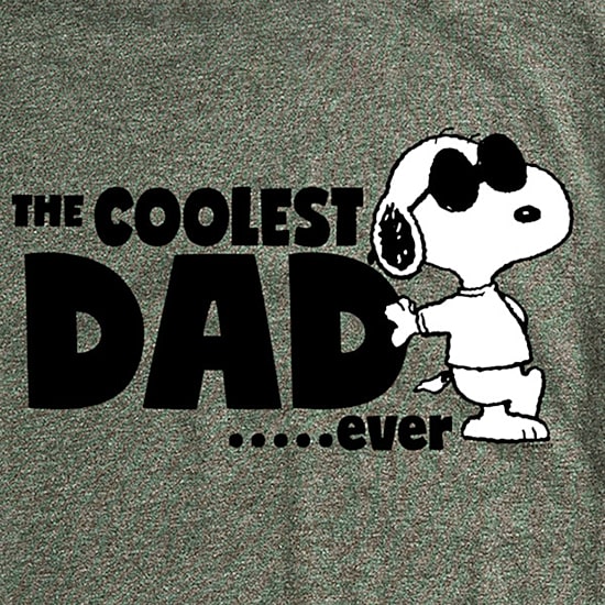 Mens Short Sleeve Peanuts Coolest Dad Graphic T-Shirt