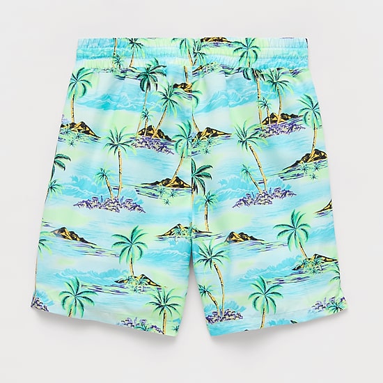 Thereabouts Little & Big Kid Boys Swim Trunks