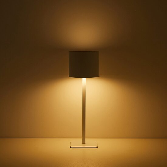 AEROPOSTALE White Stainless Steel Table Lamp