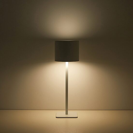 AEROPOSTALE White Stainless Steel Table Lamp