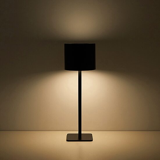 AEROPOSTALE Black Stainless Steel Table Lamp