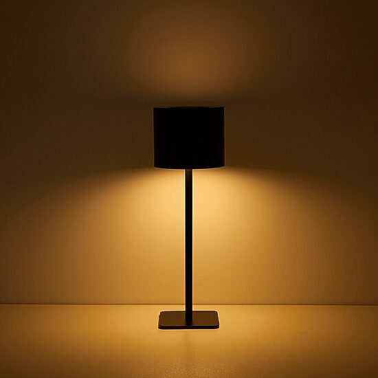 AEROPOSTALE Black Stainless Steel Table Lamp
