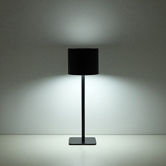 AEROPOSTALE Black Stainless Steel Table Lamp
