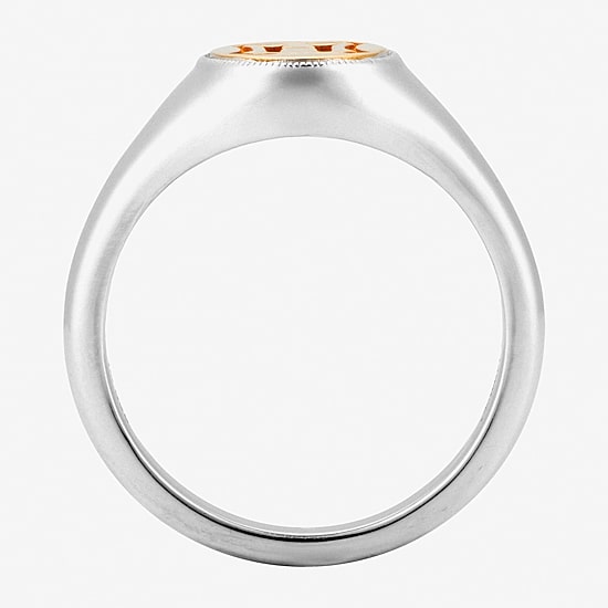 Harry Potter Womens 14K Gold Over Silver Signet Ring