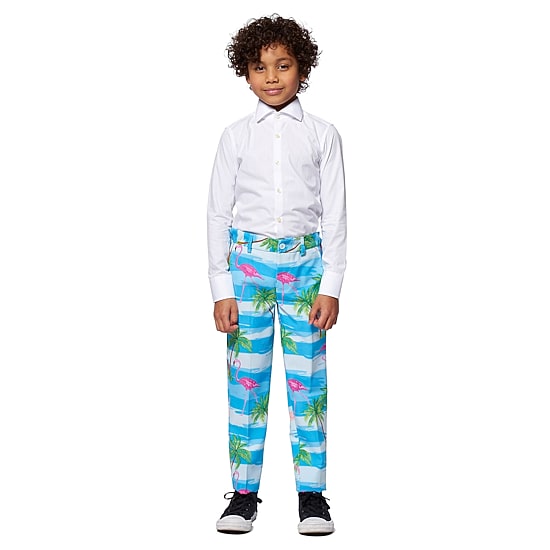 Opposuits Flamingo Little Boys 3-pc. Suit Set