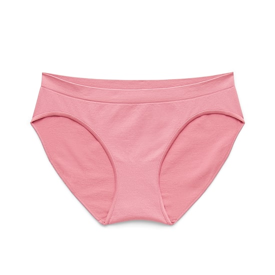 Ambrielle Seamless Bikini Panty