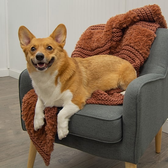 Your Lifestyle By Donna Sharp Faux Fur Plush Knit Midweight Throw