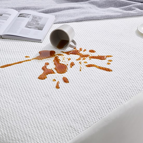 DAN RIVER® Waterproof Mattress Protector