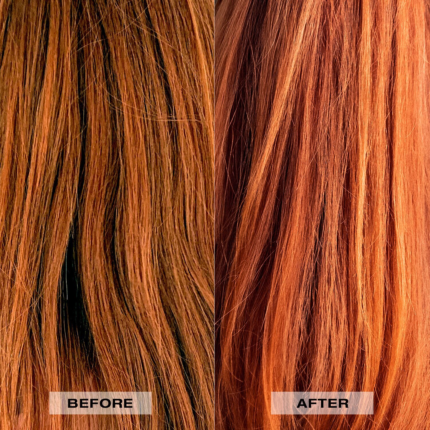 L'ANZA Healing Colorcare Shampoo