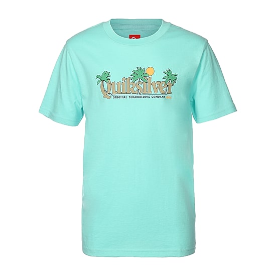 Quiksilver Big Kid Boys Crew Neck Short Sleeve Regular Fit Graphic T-Shirt