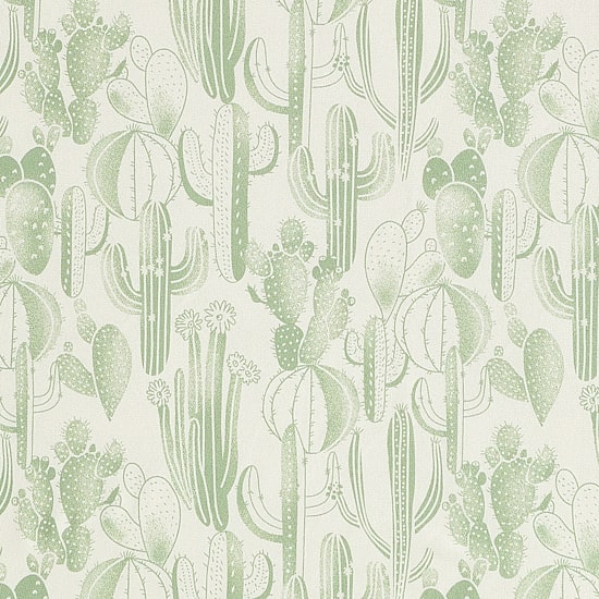Wrangler Watercolor Cactus Sheet Set