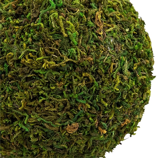 Northlight 16" Moss Ball Potted Tree Artificial Plant