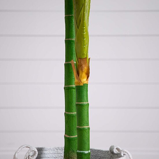 Nearly Natural 8' Golden Cane Palm Artificial Plant