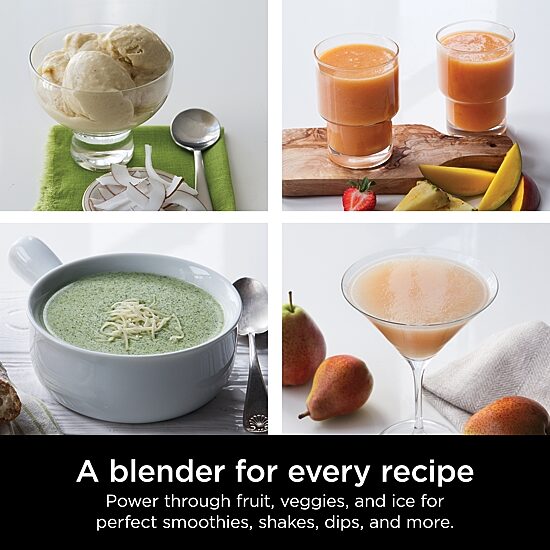 Ninja® Professional Blender 1000W BL610