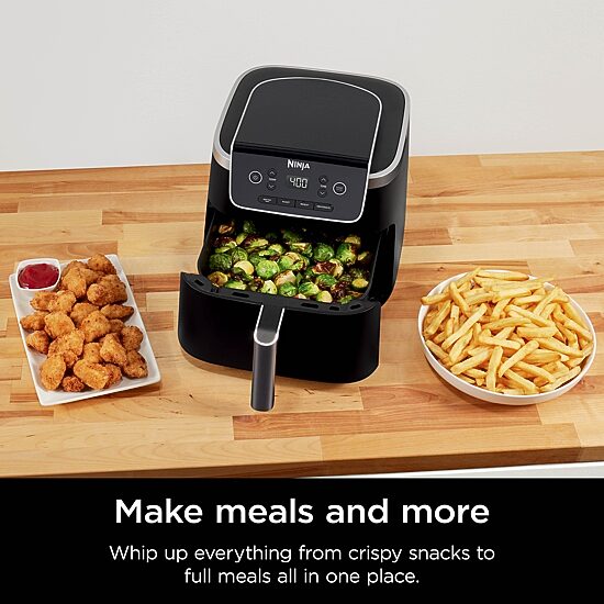Ninja Pro 4-In-1 5 Qt Air Fryer