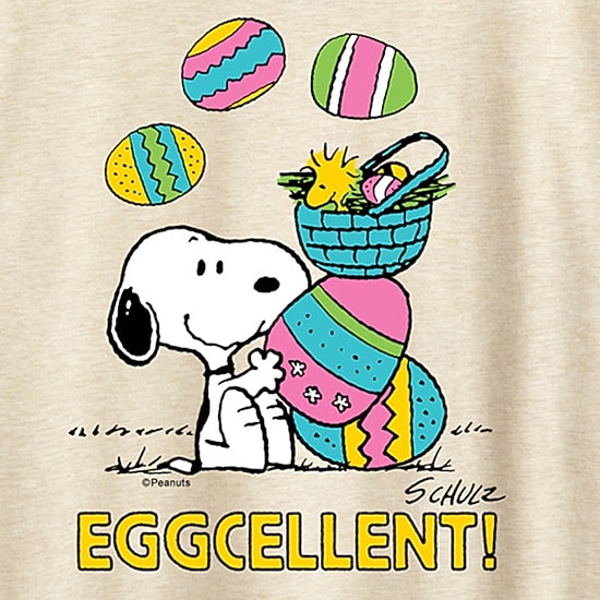 Womens Crew Neck Short Sleeve Regular Fit Peanuts Snoopy Graphic T-Shirt