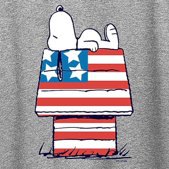 Womens Crew Neck Short Sleeve Regular Fit Peanuts Graphic T-Shirt