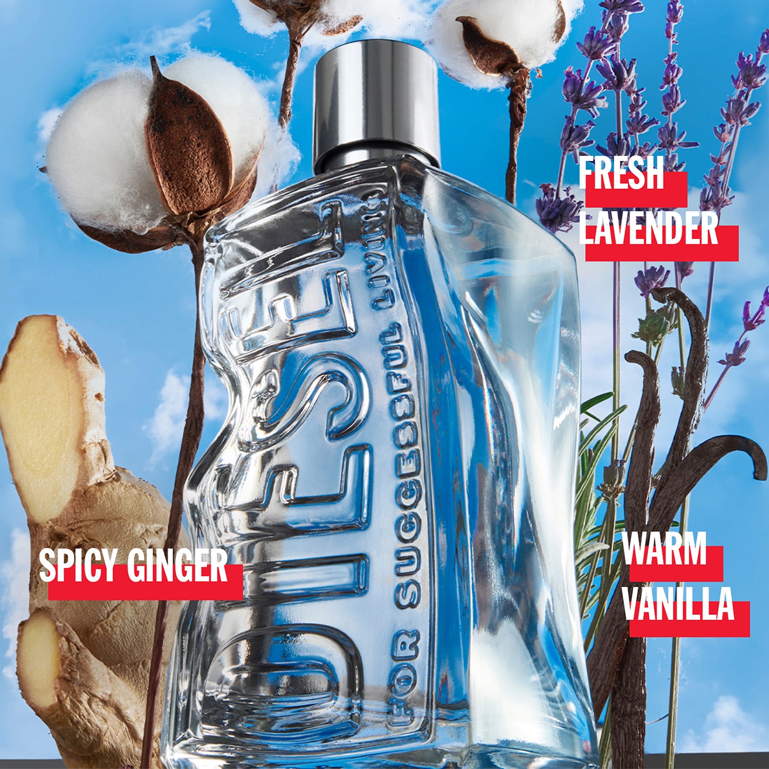 D By Diesel Eau De Toilette 1.7 Oz 2-Pc Gift Set ($72 Value)